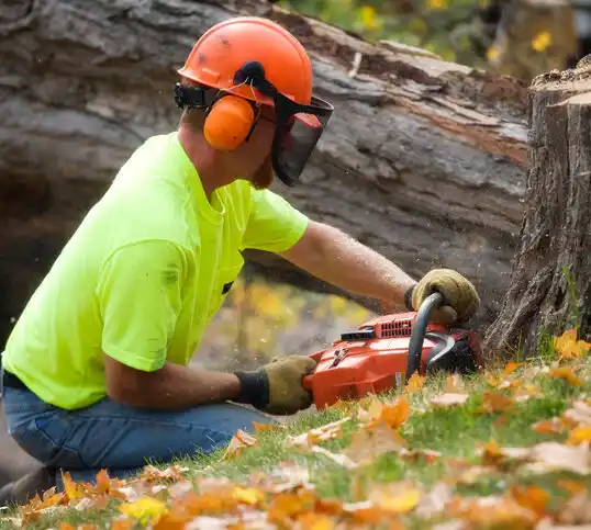 tree services Sudlersville